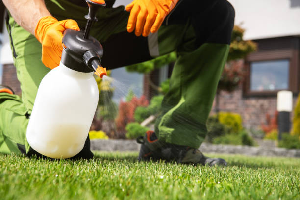 Best Mosquito Control Services  in Converse, TX