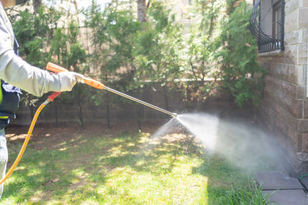 Best Residential Pest Control  in Converse, TX