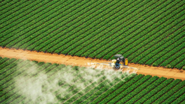 Pest Control Cost in Converse, TX