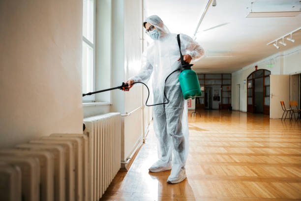 Best Termite Control Services  in Converse, TX